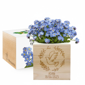 Křest s gravírovanou holubicí EcoCube Křest s gravírovanou holubicí EcoCube