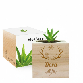 Personalizovaná vánoční EcoCube Personalizovaná vánoční EcoCube