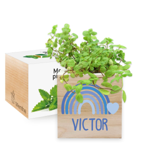 Tištěný EcoCube Duha Tištěný EcoCube Duha