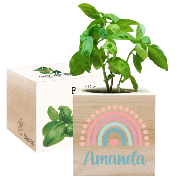 Tištěný EcoCube Duha Tištěný EcoCube Duha