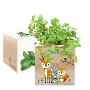 Tištěný EcoCube kouzelný les Tištěný EcoCube kouzelný les