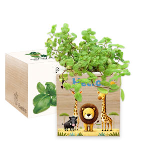 Tištěný EcoCube Safari Tištěný EcoCube Safari