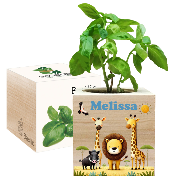 Tištěný EcoCube Safari Tištěný EcoCube Safari