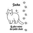 Kočka
