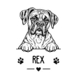 Boxerky