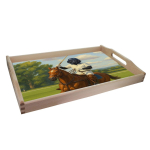 Sn&iacute;daňov&yacute; t&aacute;c