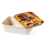 Svačinov&yacute; box
