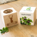 EcoCube personalizovaný Jelen EcoCube personalizovaný Jelen