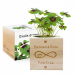 EcoCube personalizovaný Láska EcoCube personalizovaný Láska