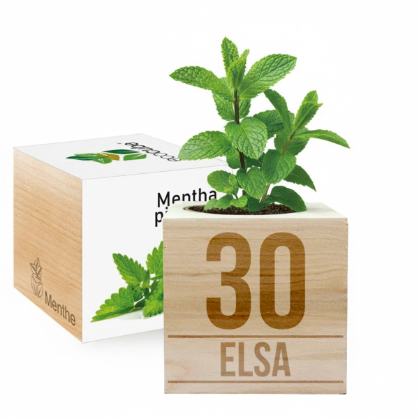 EcoCube přizpůsoben&yacute; na narozeniny