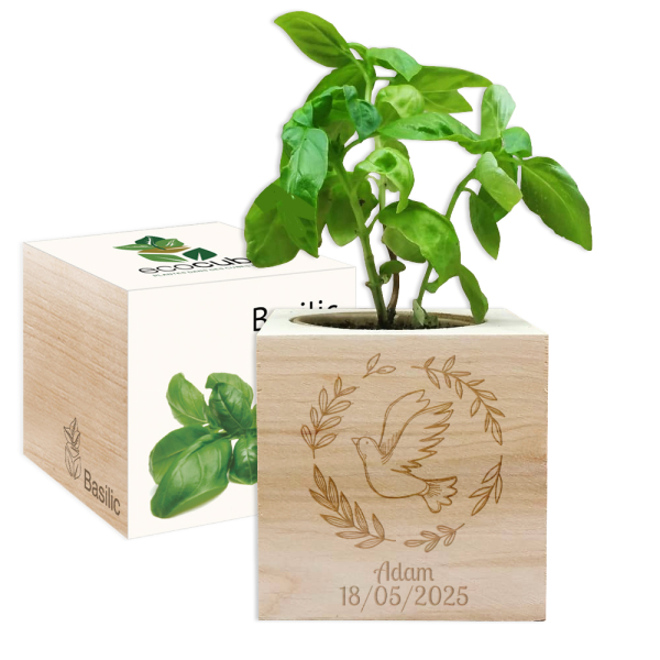 Křest s grav&iacute;rovanou holubic&iacute; EcoCube