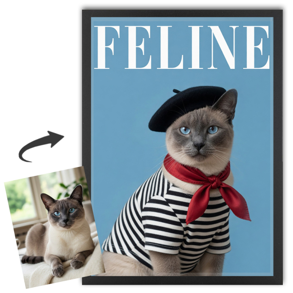 Ob&aacute;lka magaz&iacute;nu FELINE podle fotografie