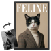 Ob&aacute;lka magaz&iacute;nu FELINE podle fotografie