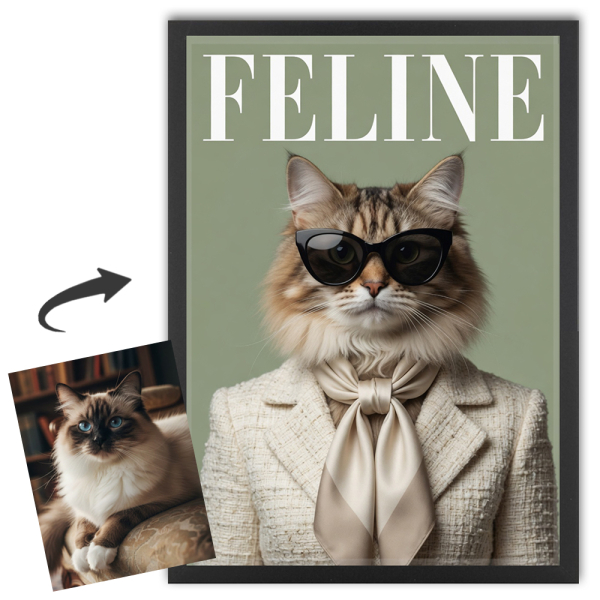 Ob&aacute;lka magaz&iacute;nu FELINE podle fotografie