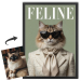 Ob&aacute;lka magaz&iacute;nu FELINE podle fotografie