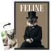 Ob&aacute;lka magaz&iacute;nu FELINE podle fotografie