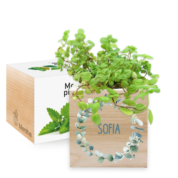 Ti�těn&yacute; EcoCube rostlinn&yacute; věnec
