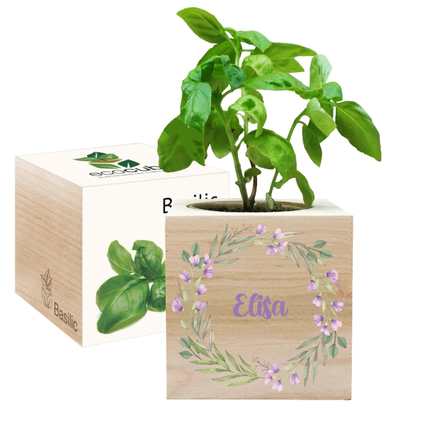 Ti�těn&yacute; EcoCube rostlinn&yacute; věnec