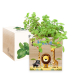 Tištěný EcoCube Safari Tištěný EcoCube Safari