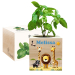 Tištěný EcoCube Safari Tištěný EcoCube Safari