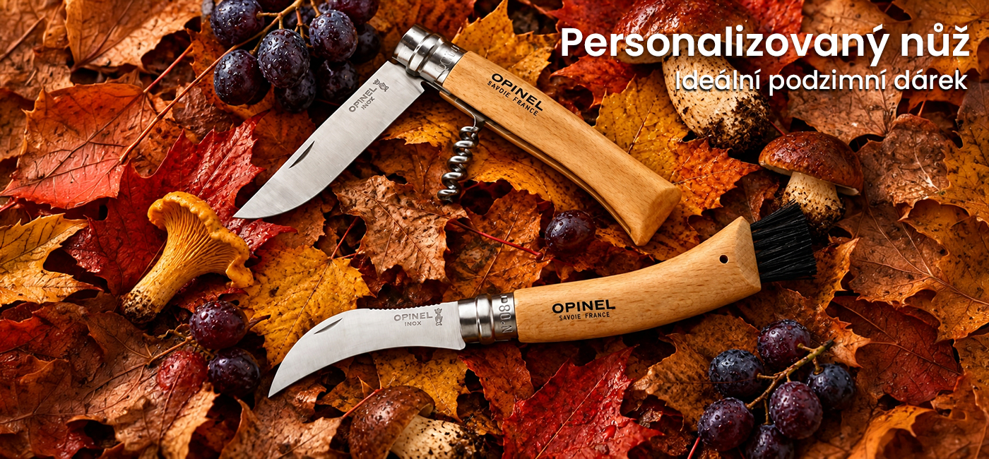 Personalizovan� nů�