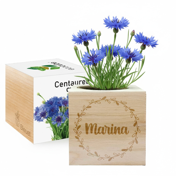 EcoCube přizpůsobený Jméno EcoCube přizpůsobený Jméno